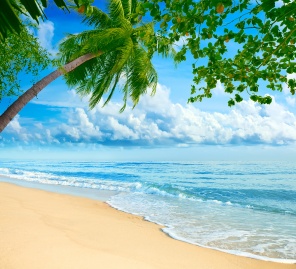 Песчаный тропический пляж в летний солнечный день