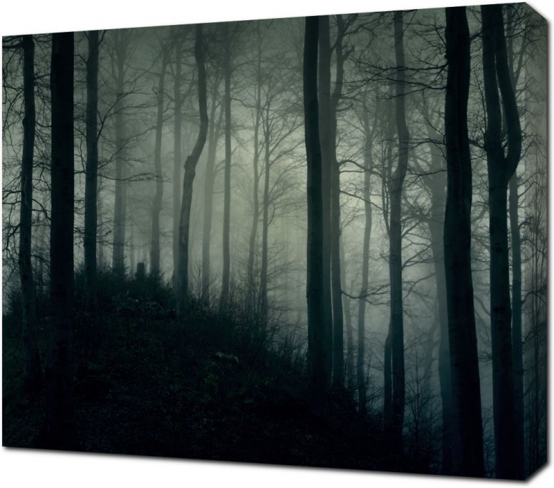 Картина на холсте Загадочный лес: - Арт. 900302 | Купить в  интернет-магазине - Уютная стена