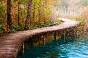 Сказочный мостик над прудом
