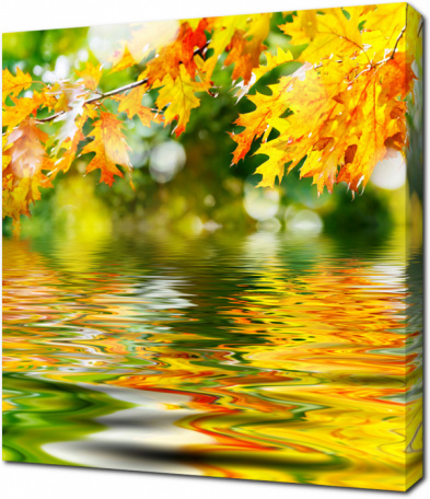 Осенние листья над водой