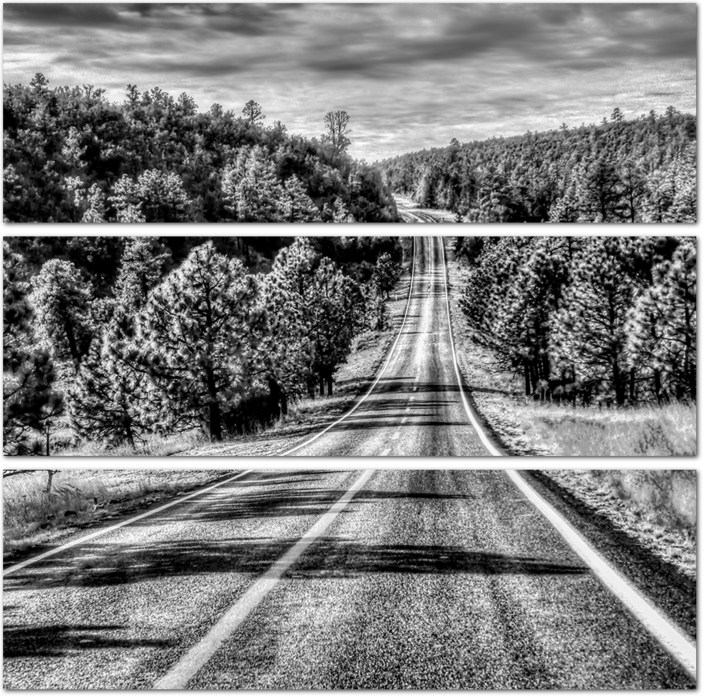 Черно-белая дорога сквозь деревья