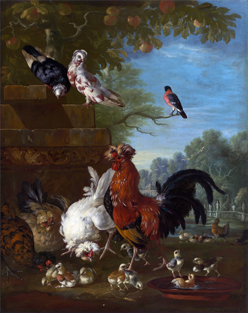 Питер Кастильс II — Домашний петух, куры и цыплят в парке