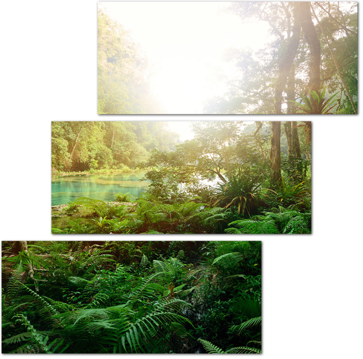Таинственные джунгли Майя