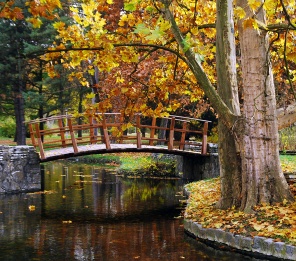 Маленький мостик в осеннем лесу