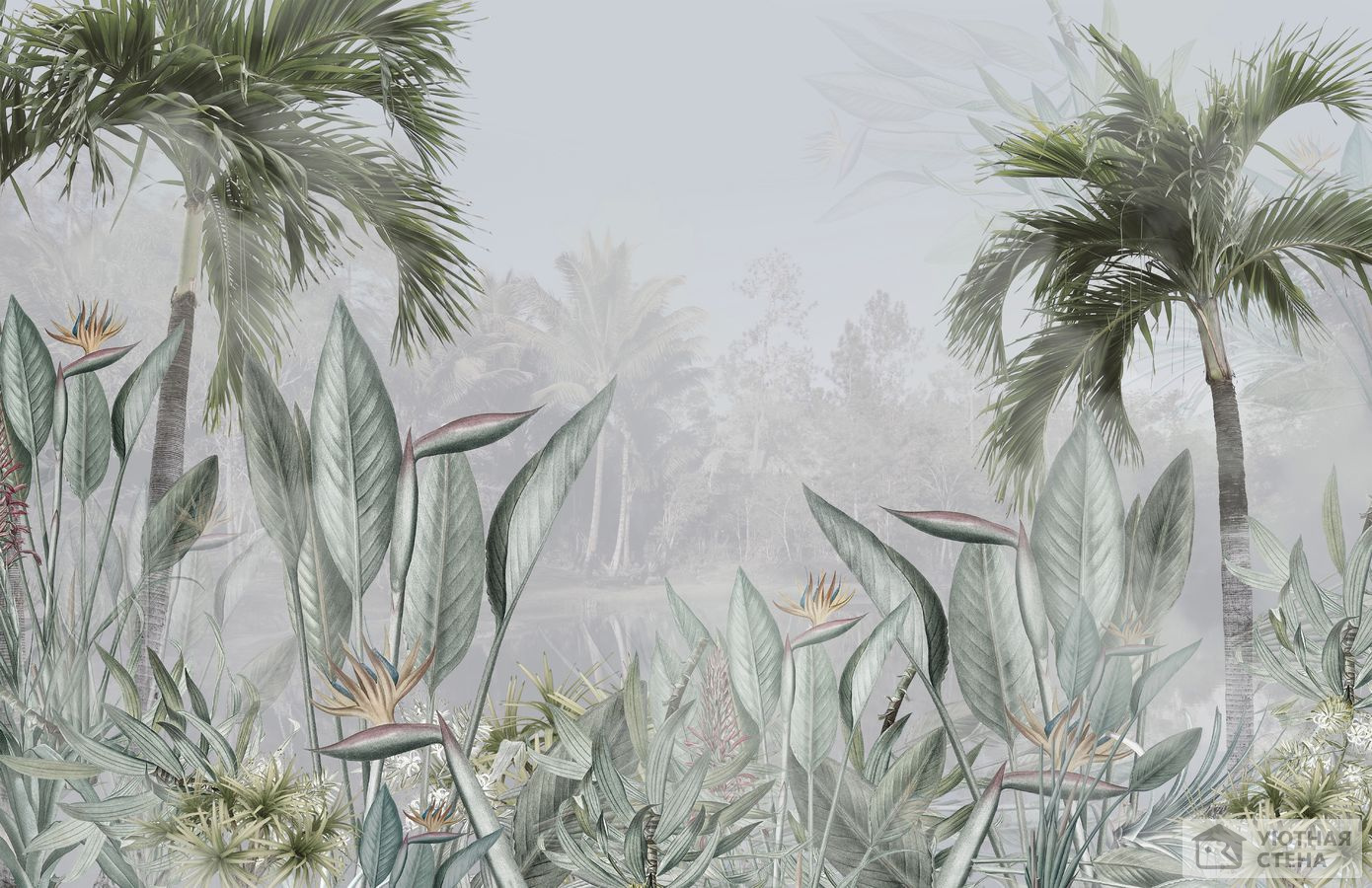 Туман над тропическими листьями