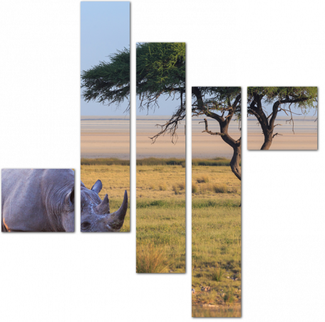 Носорог в Африканской саванне
