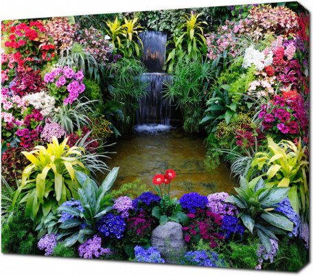 Райский сад с разноцветными цветами