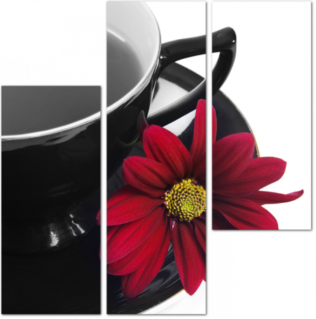Яркая хризантема на фоне черно-белой чашки