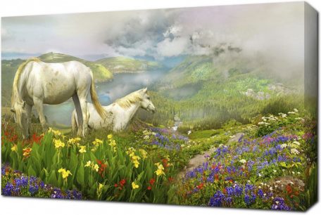 Белые лошади на цветочном лугу