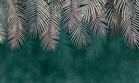 Пушистые листья пальмы на зеленом