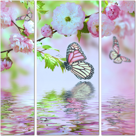 Бабочки на цветках дерева