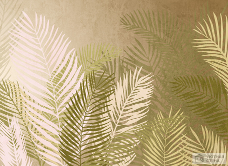 Желтые силуэты пальмовых листьев