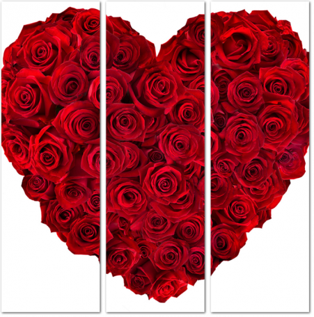 Сердце из красных роз
