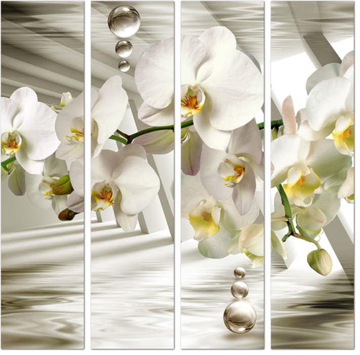Орхидеи на серебристом фоне