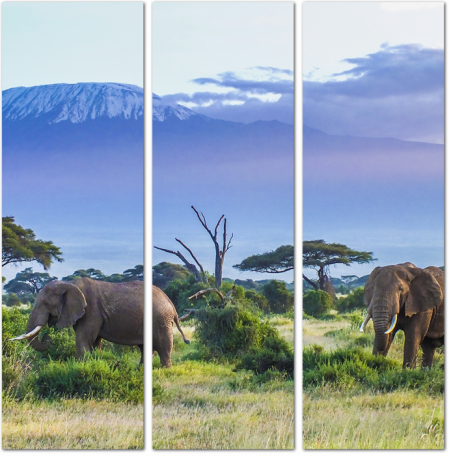 Пара слонов в Килиманджаро
