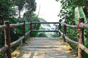 Терраса в джунглях Таиланда