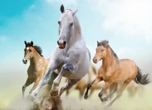 Скачущие лошади