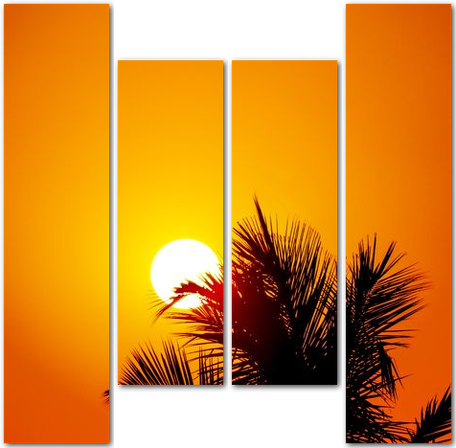 Солнце за пальмой