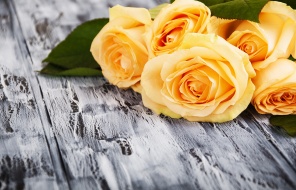 Желтые розы на деревянном фоне