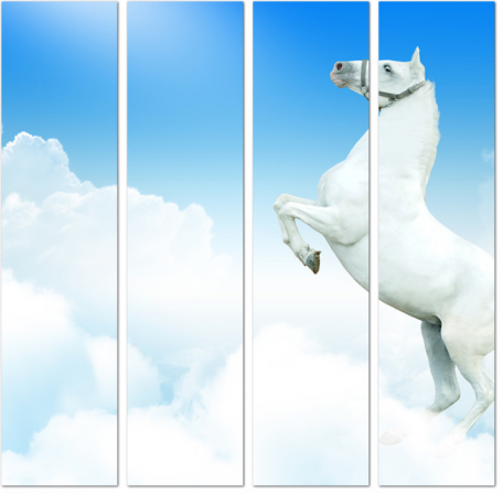 Белая лошадь на фоне неба