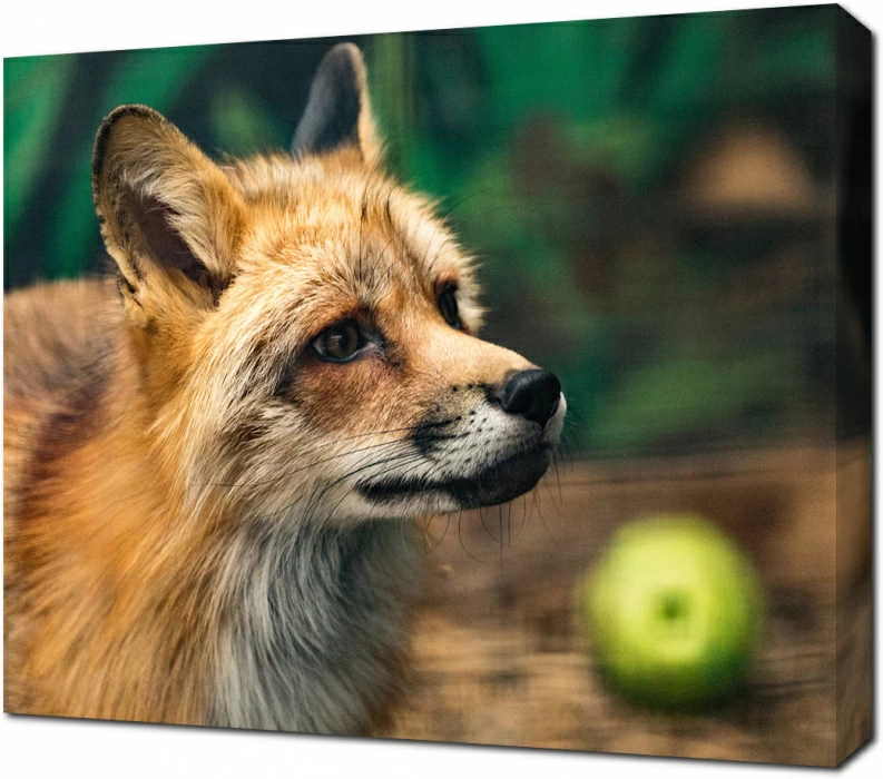 Потрет лисы