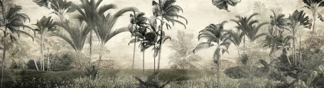 Панорама с пушистыми пальмами