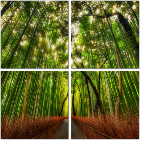 Бамбуковый лес в парке Киото. Япония