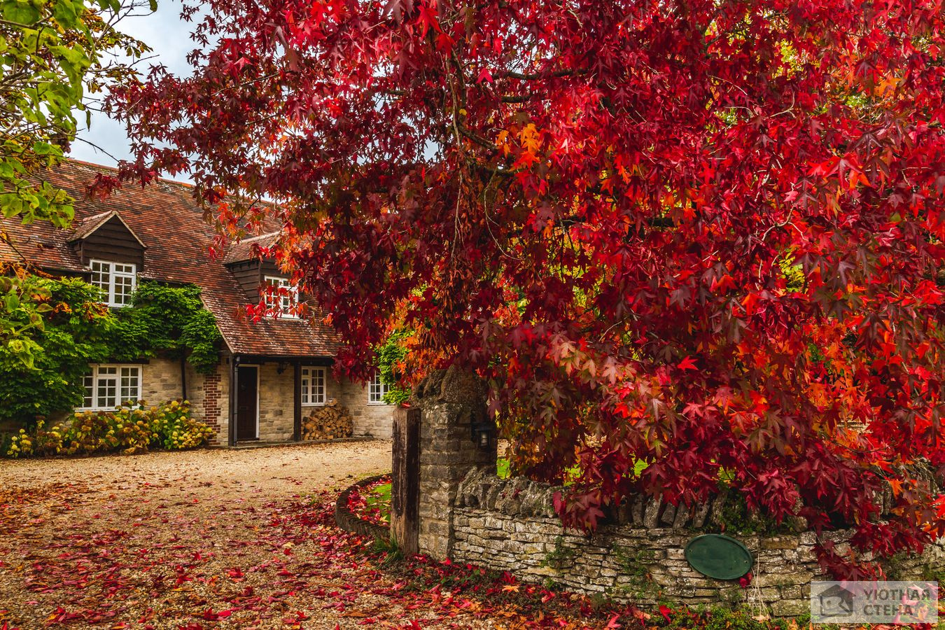 Осенний пейзаж, Англия