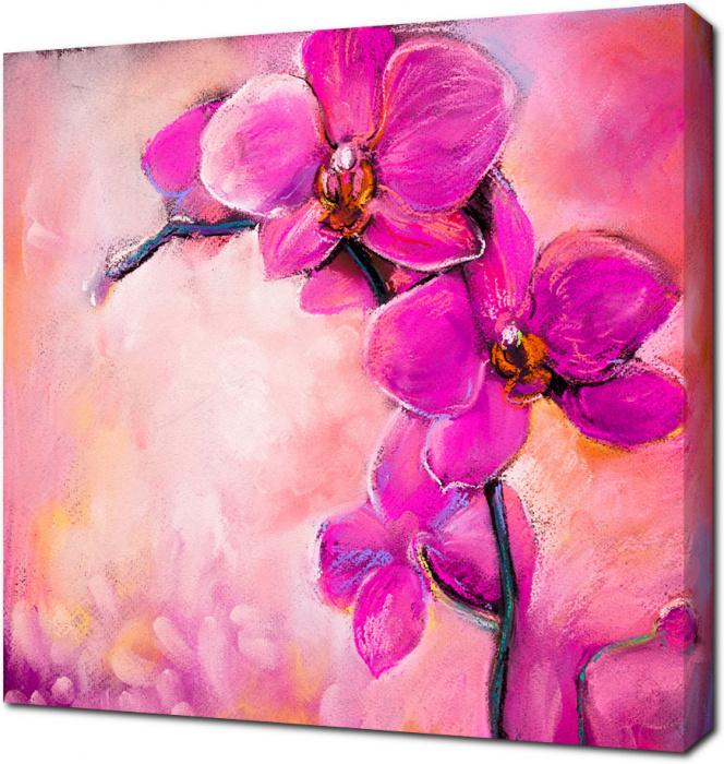 Рисунок розовых орхидеи