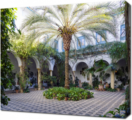 Андалузский внутренний дворик с растениями