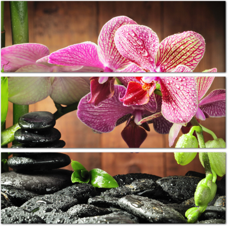 Спа композиция с орхидеями и камнями