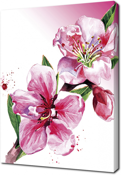 Картина на холсте Цветы на ветке акварелью: - Арт. 500487