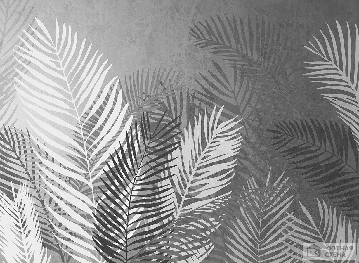 Серые силуэты пальмовых листьев