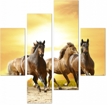 Бегущие лошади по песку