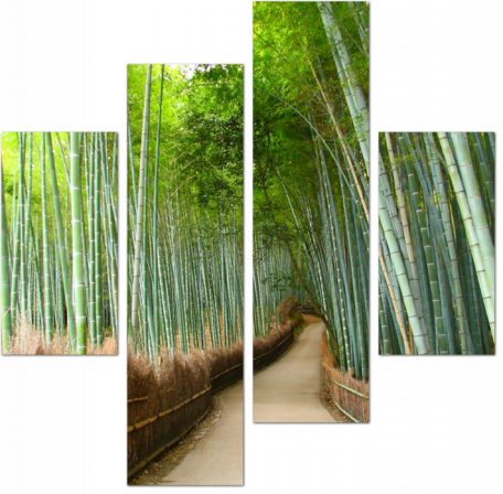 Дорожка в бамбуковом лесу Киото. Япония