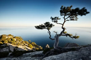 Лето в Крыму