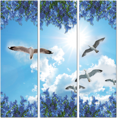 3D Чайки в небе