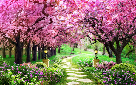 Аллея цветущих деревьев в парке