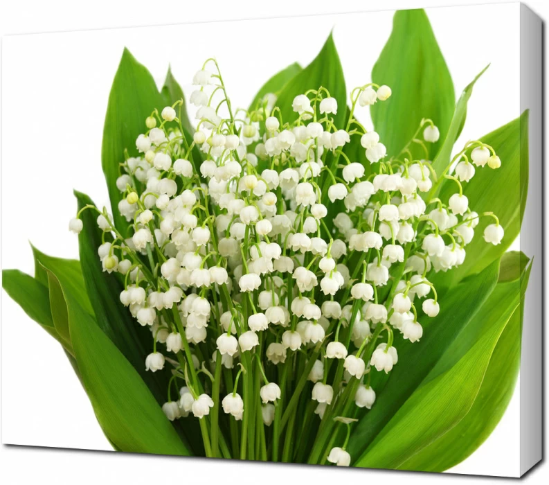 Букет ландышей