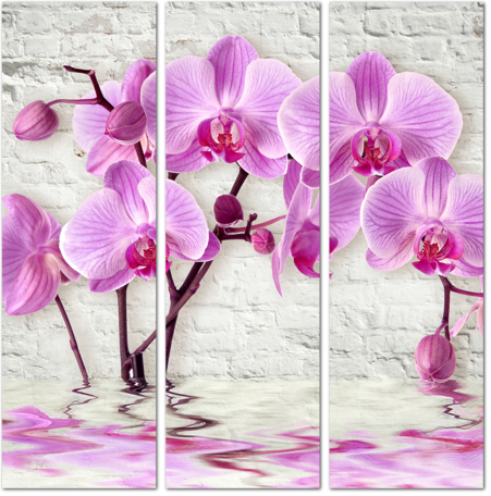 3D Розовая орхидея на фоне белой кирпичной стены