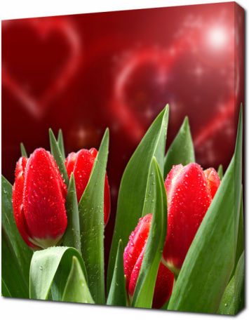 Красные тюльпаны на красном фоне с сердцами