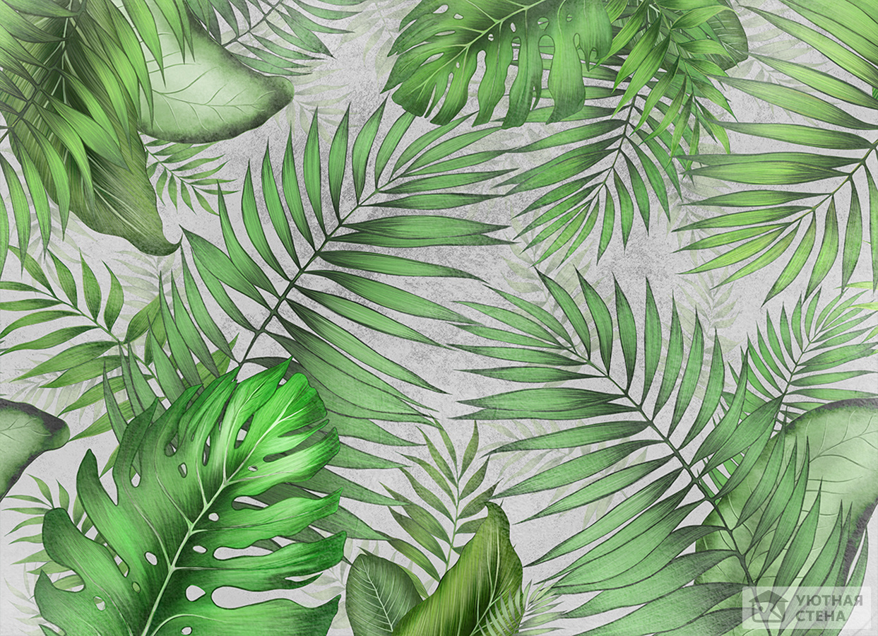 Зелёные листья хамедореи и монстеры