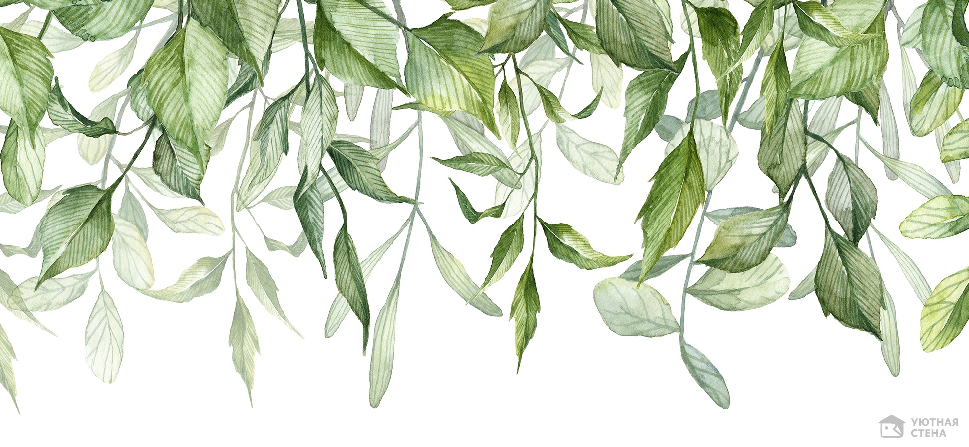 Воздушные акварельные листья растений