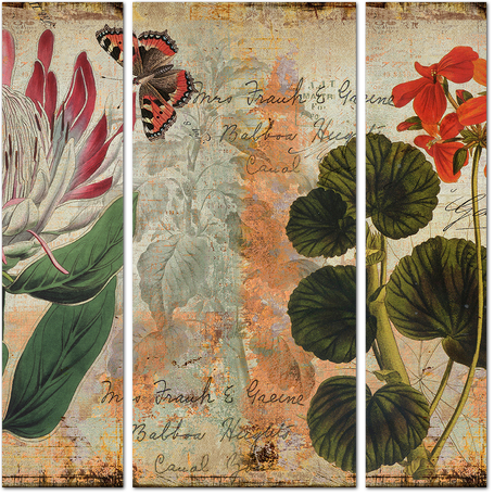 Растения с винтажных открыток