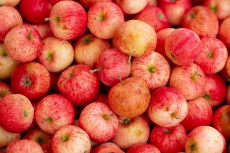 Множество ароматных яблок