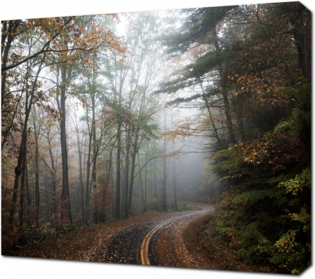 Осенняя дорога в тумане