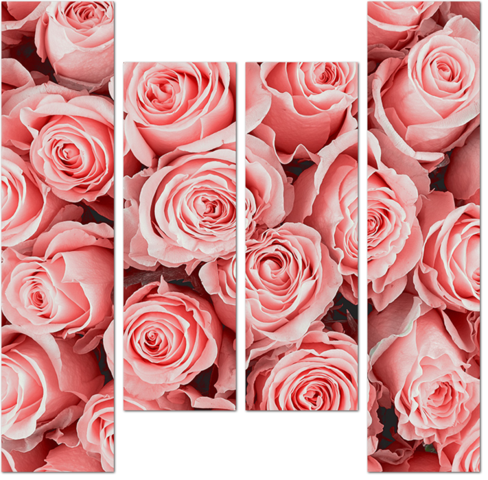 Красочный фон с розовыми розами