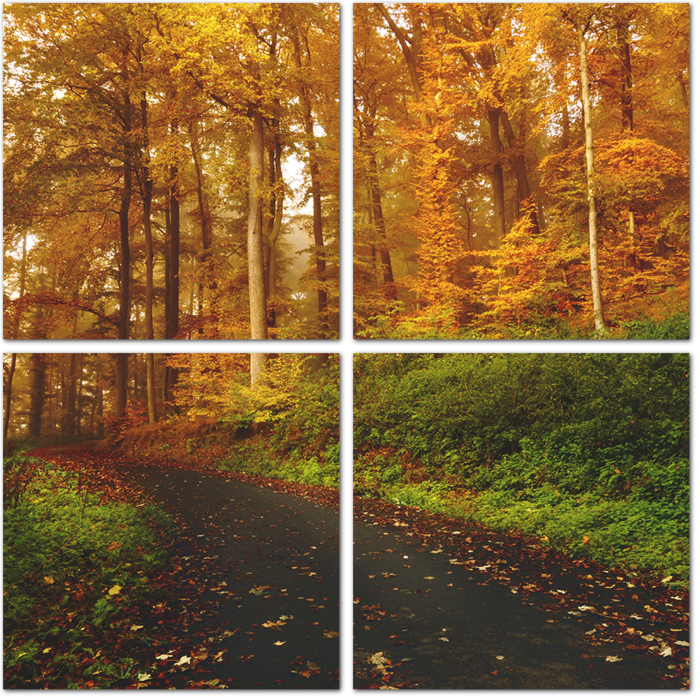 Осенний лес по краям дороги