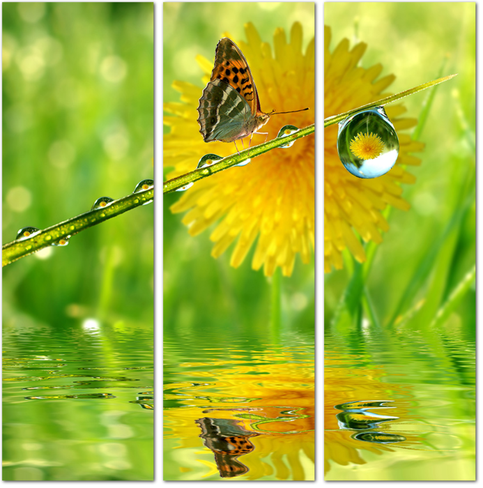 Желтый одуванчик с бабочкой