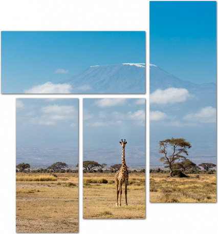 Одинокий жираф